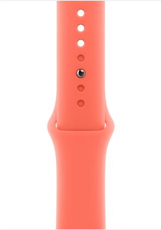 Apple Armband für Smartwatch (MDT64ZM/A)