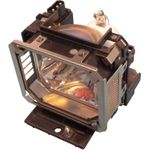 MicroLamp Lamp for projectors (RS-LP04)