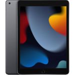 Apple 10.2-inch iPad Wi-Fi (MK2K3FD/A)