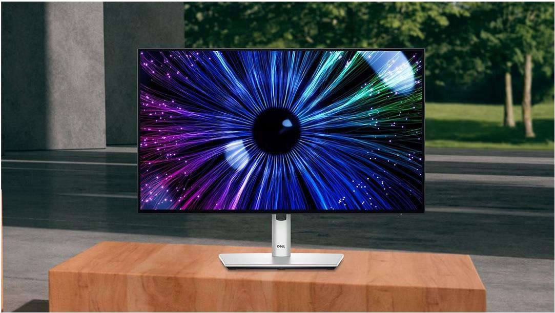 DELL UltraSharp U2424HE 23.8" 1920 x 1080 IPS Monitor Silber, Schwarz