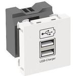 OBO USB Ladegerät m. 2.1A Ladestrom MTG-2UC2.1 RW1 - 45 x 45 mm (6105300)