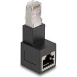 Delock Modulare Eingabe (87862)