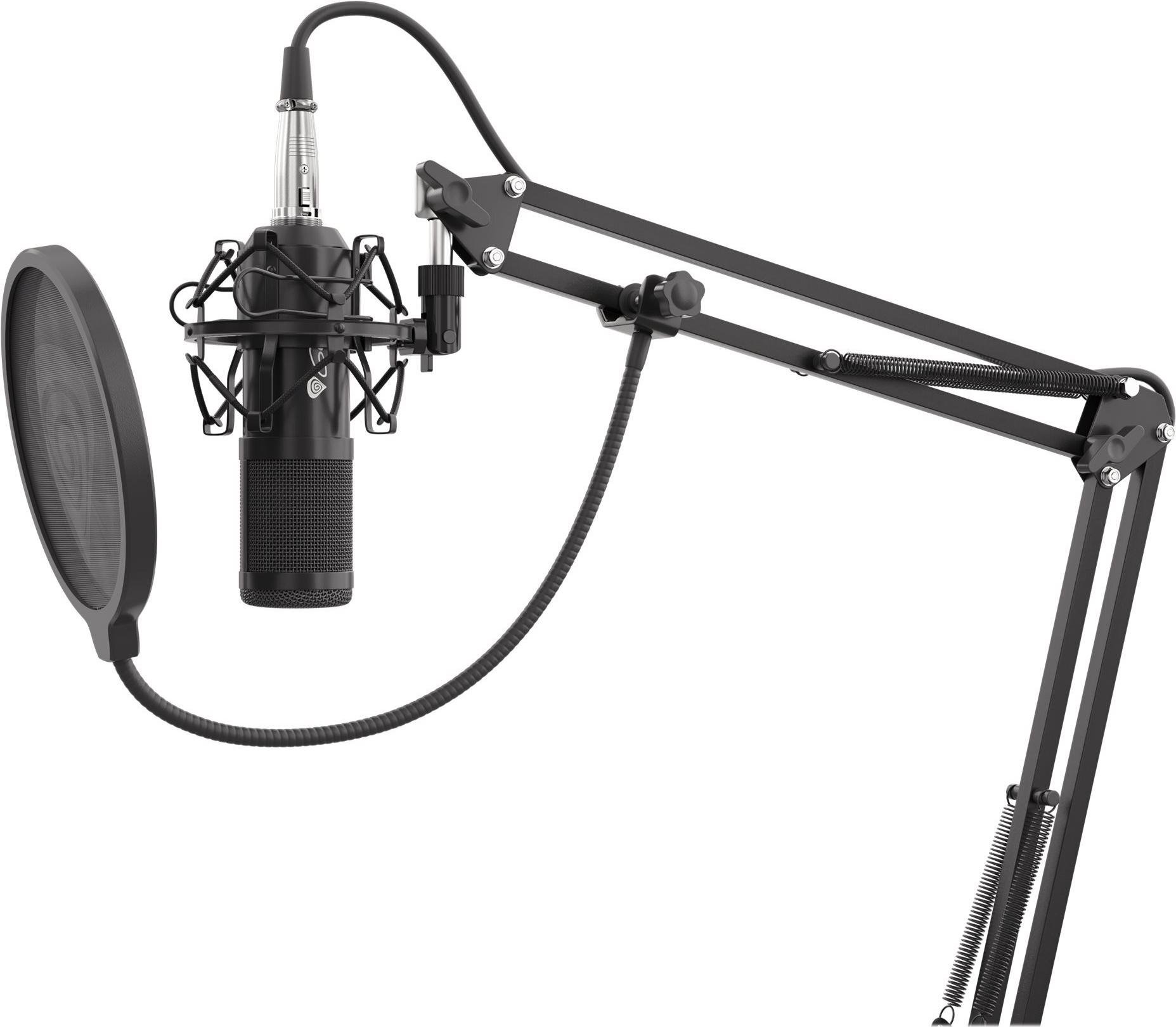 Genesis Radium 300 XLR XLR-Mikrofon Schwarz