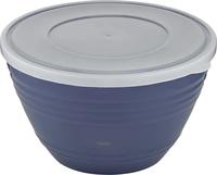 Emsa 504638 Salatbesteck, 2-teilig, Kunststoff, Länge 30 cm, Transparent (504638)