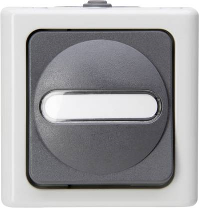 Kopp 561456001 Pushbutton switch 1P Grau - Weiß Elektroschalter (561456001)