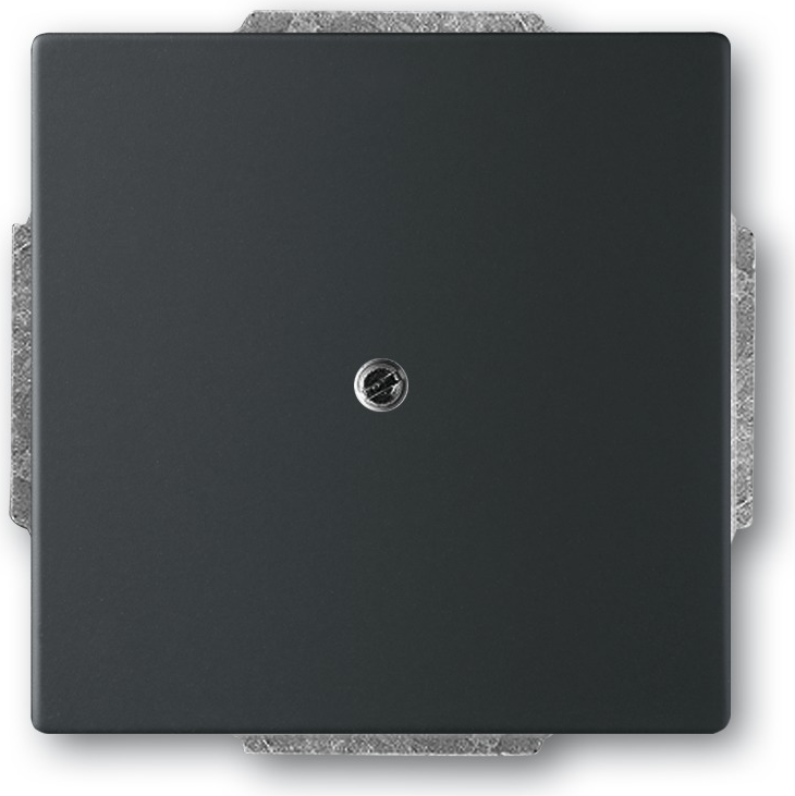 Busch Jaeger 1742-885 Schwarz (1710-0-3895)