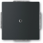 Busch Jaeger 1742-885 Schwarz (1710-0-3895)