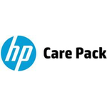 Hewlett Packard EPACK 3YR 24X7 SF8/24 8GB HP 3y 24x7 SF8/24 8GB BdlSwit FC SVC (U3AM8E)