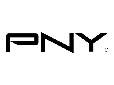 PNY Elite 32 GB microSDHC UHS-I Class 10 100 MB/s
