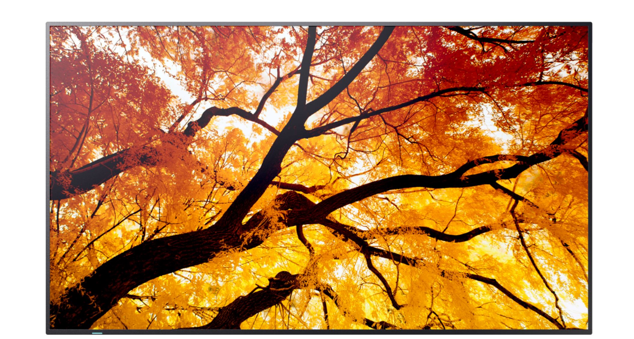 Sharp MultiSync M752 Display (60006057)