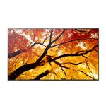 Sharp MultiSync M752 Display (60006057)