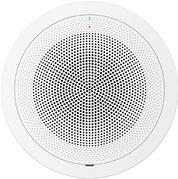 Grandstream GSC3506 v2 Multicast-Paging-Lautsprecher (GSC3506v2)