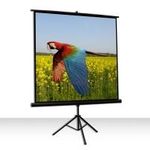 Celexon Economy 1:1 Tripod Screen 219 x 219 (1090017)