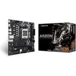 Biostar A620MS A620 AM5 mATX DDR5 (A620MS)