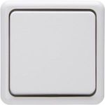 Kopp Taster Aufputz-Standard Arktis-Weiß 514402000 (514402000)