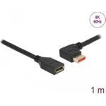 Delock DisplayPort-Verlängerungskabel (87073)