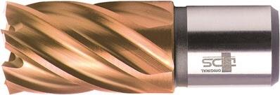 BDS Kernbohrer HSSVarioPLUS 50,0mm Schnitt.30mm Weldon-Aufnahme (KBK-VP050)
