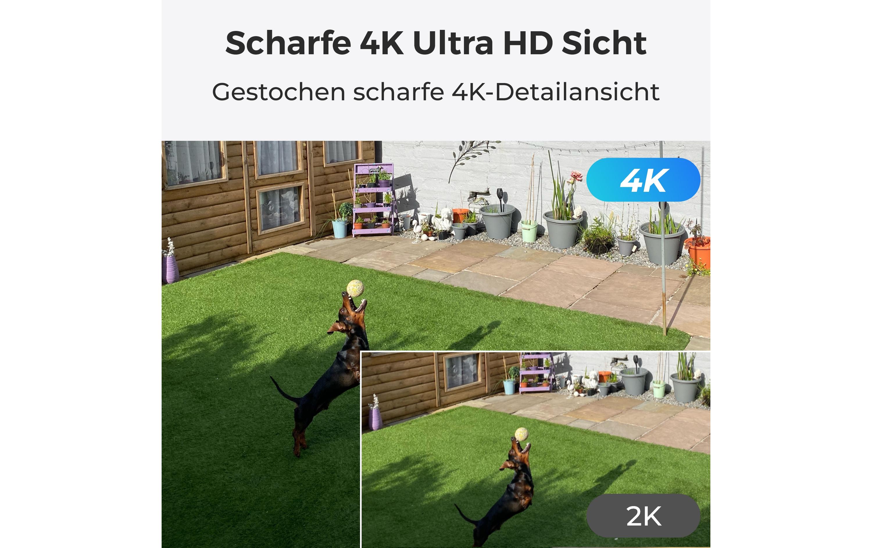 Reolink Argus B360 3840 x 2160 Pixel Netzwerkkamera Weiß