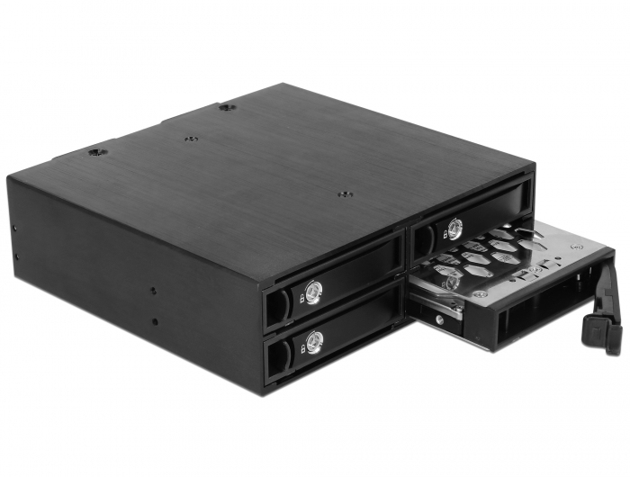 Delock Mobiles Speicher-Rack 5.25" für 4 x 2.5" SATA/SAS HDD/SSD Schwarz