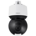 Pelikan Schriftband 43613 für DYMO schwarz auf weiß kompatibel PELLABEL43613)