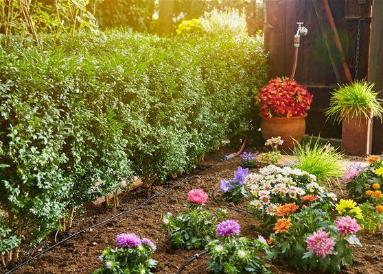 Gardena Micro-Drip-System Planted Rows S (13010-20)