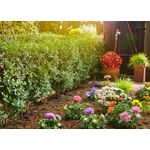 Gardena Micro-Drip-System Planted Rows S (13010-20)