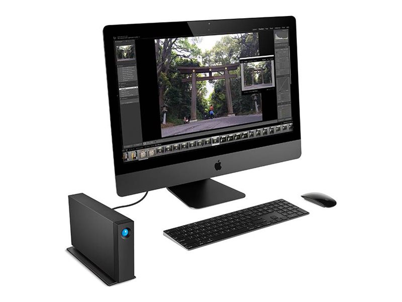 LaCie d2 Professional Externe Festplatte 24 TB USB-C 7200 rpm Schwarz
