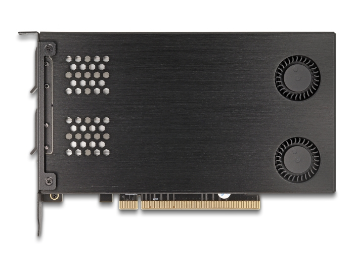 Delock 47042 PCIe 4.0 x16 Karte Wechselrahmen für 2 x M.2 NVMe SSD Bifurcation Silber