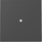 GIRA Wippe 3290005 Kontrollf.Sys.55 sw m (3290005)