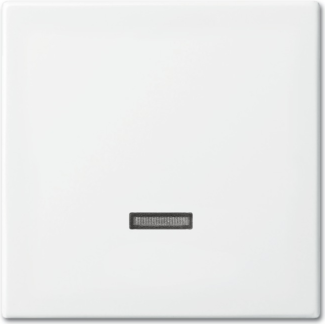 Busch-Jaeger 6543-914-102 Abdeckplatte für Sensorhalterung & -sockel Weiß (2CKA006599A3018)