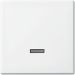 Busch-Jaeger 6543-914-102 Abdeckplatte für Sensorhalterung & -sockel Weiß (2CKA006599A3018)