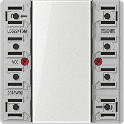 Tastsensor-Modul 2fach AC/DC24V 2-k. 4Sp. LS 5224 TSM (LS5224TSM)