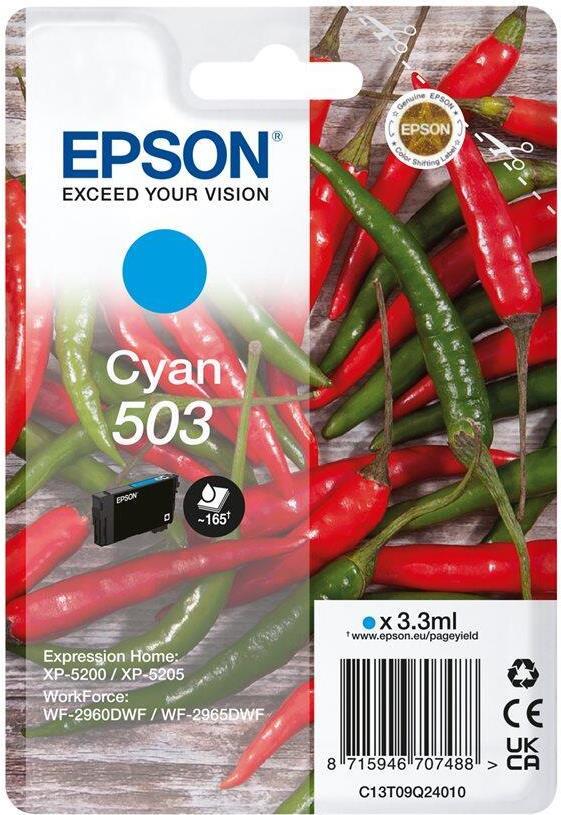 Epson 503 Singlepack (C13T09Q24010)
