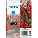 Epson 503 Singlepack (C13T09Q24010)