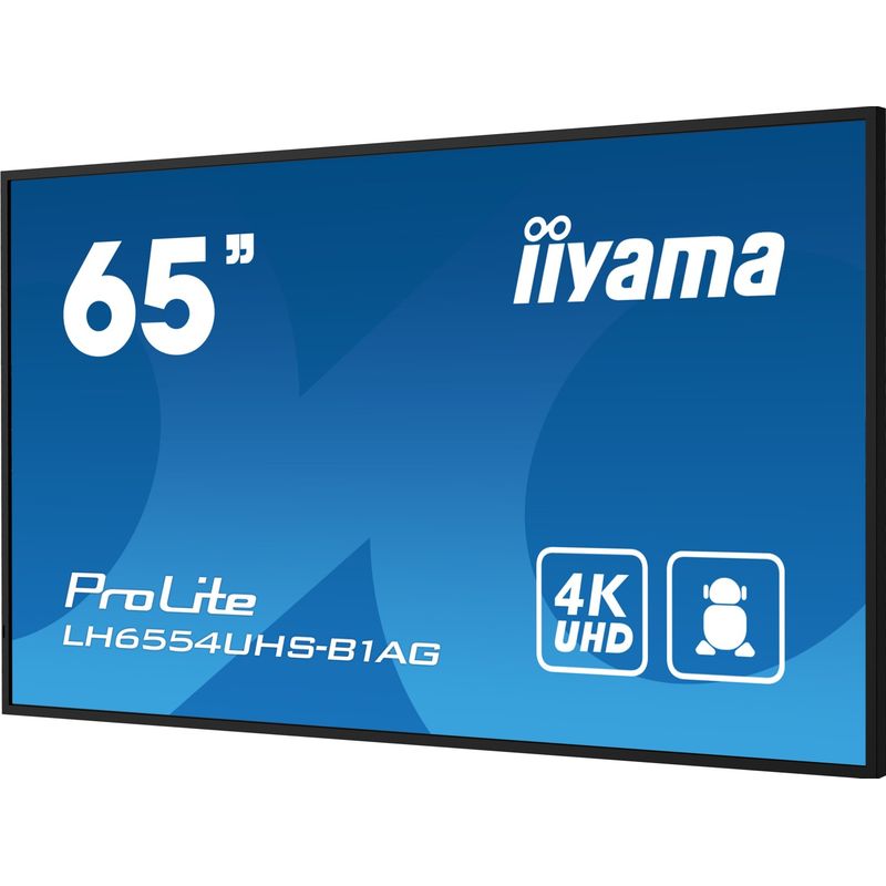 Iiyama ProLite LH6554UHS-B1AG 164cm 64.6
