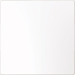 Merten MEG4075-6035. Produktfarbe: Weiß, Material: Thermoplast, Oberflächentyp: Glänzend (MEG4075-6035)