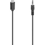 Hama Audio-Kabel, USB-C-Stecker - 3,5-mm-Klinken-Stecker, Stereo, 0,75 m (00200729)