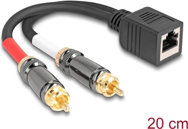 Delock Adapterkabel RJ45 Buchse zu 2 x Cinch Stecker schwarz 20 cm (88172)