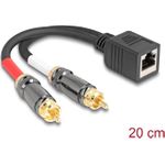 Delock Adapterkabel RJ45 Buchse zu 2 x Cinch Stecker schwarz 20 cm (88172)