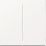 GIRA Wippe 329503 2f Sys.55 rws (329503)