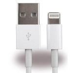 Cyoo Datenkabel Lightning (CY120131)