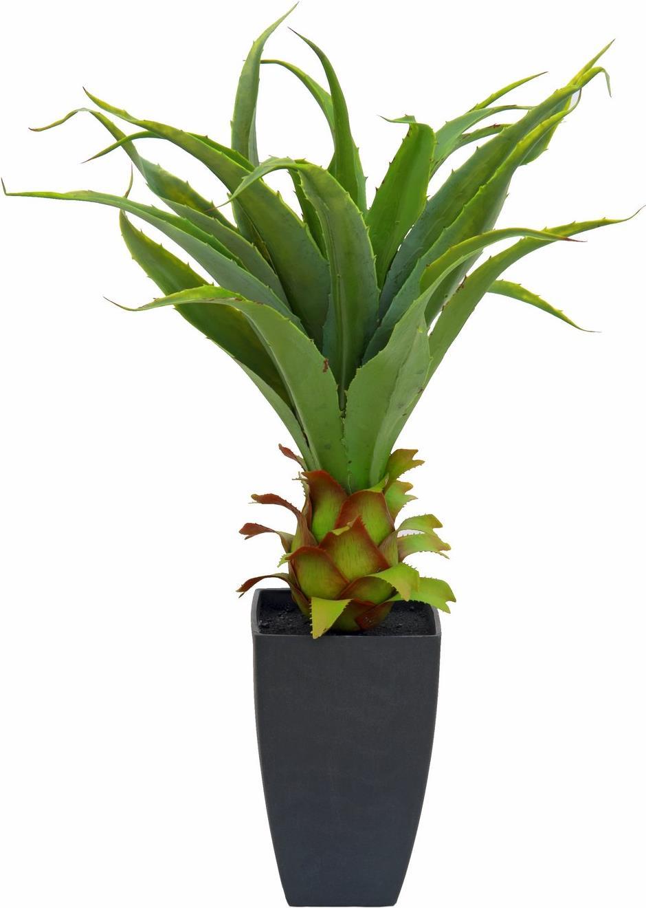 EUROPALMS Agave im Topf, Kunstpflanze, 75cm (82600160)
