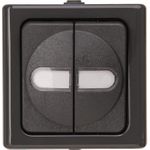 Serienschalter AP-FR Serien-Sch. BlueElectric anthrazit (560515004)