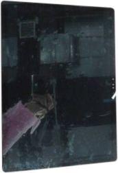 Dell 13.0-inch QHD LCD assembly (JRR2Y)