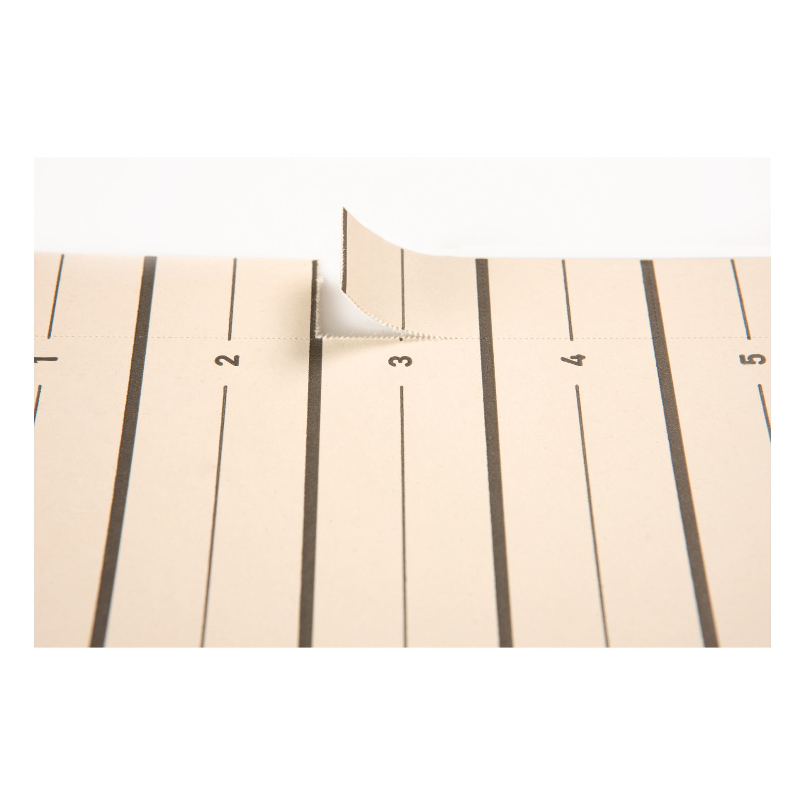 PAGNA Trennblätter Easy Rip A4 20 Teile Kraftkarton Beige