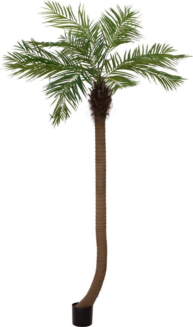 EUROPALMS Phönixpalme luxor gebogen, Kunstpflanze, 240cm (82510726)