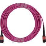 Kompatibles Dell EMC CBL-MPO12-OM4-2M BlueOptics LWL Trunkkabel, MPO/UPC zu MPO/UPC, 2 Meter, Multimode G50/125µm, OM4, Einfügedämpfung: unter 0.3dB, Markenfaser, 3.0mm LSZH magenta, 12 Kerne, Typ B, MPO Stecker ohne Pins, inkl. Messprotokoll (CBL-MPO12-OM4-2M-BO)