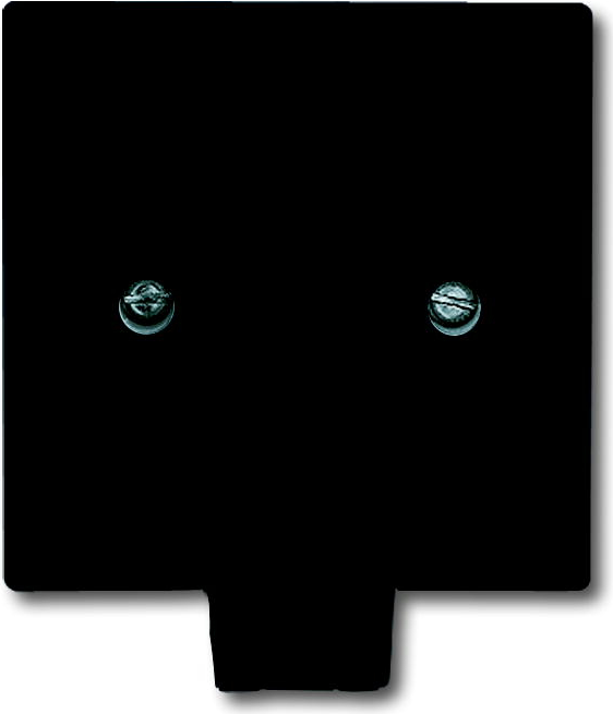 BUSCH-JAEGER Zentrals. Leit.Ausl. 2133-35 IP44 Allwetter anthrazit 2133-35 (2133-35)