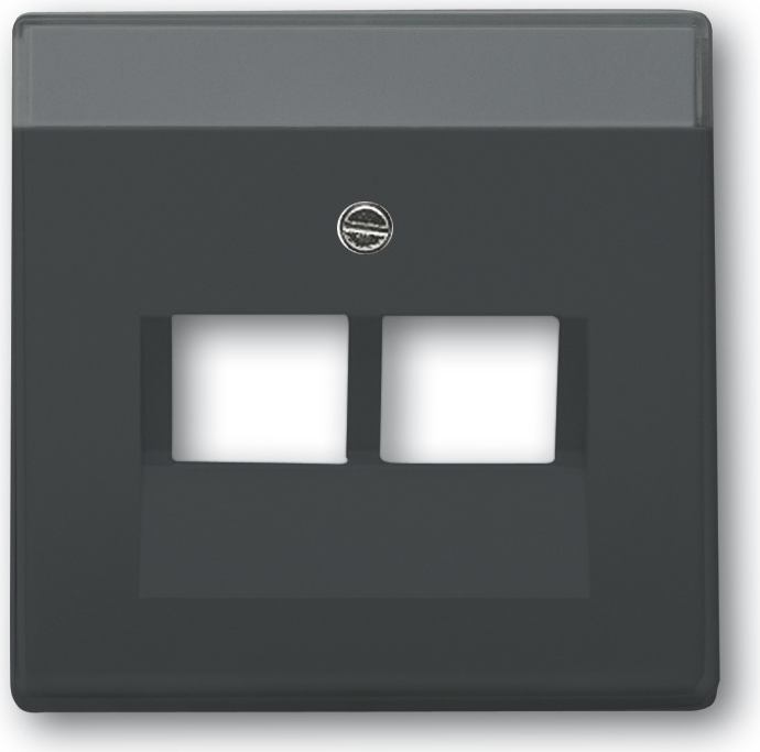 Busch-Jaeger 1710-0-3615. Produktfarbe: Anthrazit, Markenkompatibilität: Universal, Design: konventionell. Breite: 63 mm, Höhe: 63 mm (1710-0-3615)