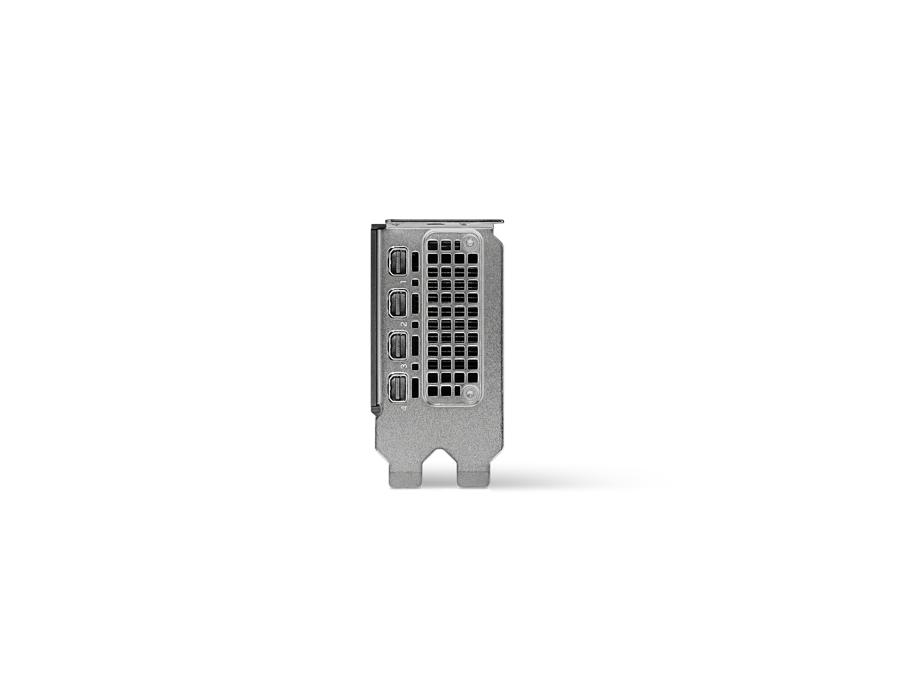 PNY NVIDIA RTX 2000 Ada 16 GB GDDR6 4x Mini DisplayPort Low Profile